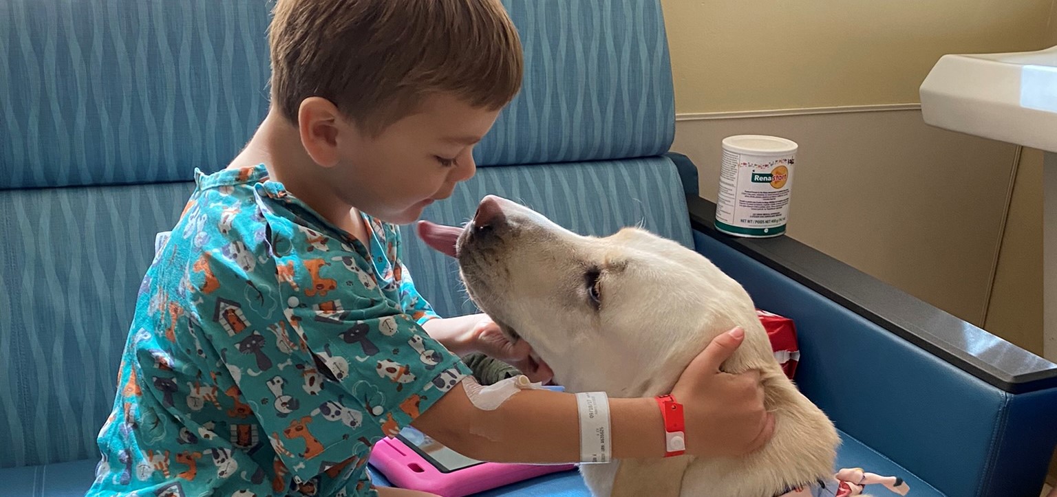 Young boy pets a yellow lab facility dog named Posey.